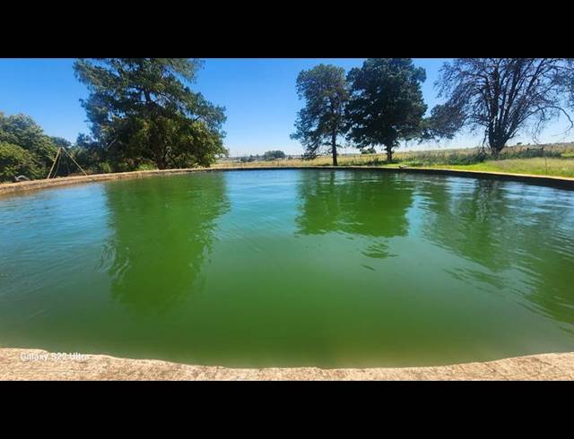 FARM FOR SALE IN WITFONTEIN